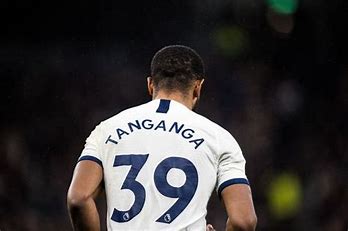 Tanganga reaching crossroads in Spurs career